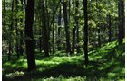 Property photo 22 - 1,575+/- Acres Offered in 23 Tracts